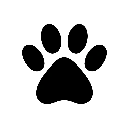 Meu Amigo Pet
